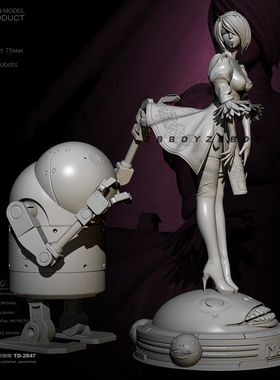 75mm 1/24 ZBBOY监制 2B与机器人  树脂手办 女兵人 白模 TD-2847