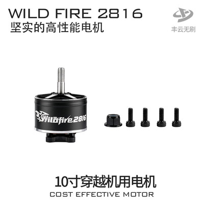 丰云野火WILDFIRE2816/10寸FPV穿越机航拍远航花飞耐炸马达电机