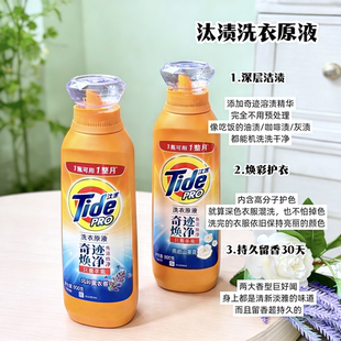 汰渍奇迹焕净洗衣原液去渍护衣风吟薰衣草免预处理800g瓶装家用