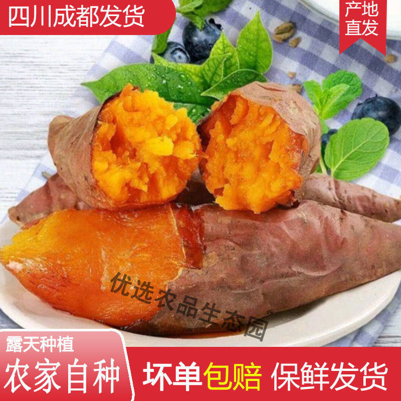四川成都现挖发新鲜板栗红薯地瓜番薯蔬菜红皮鸡蛋黄芯沙地红蜜薯