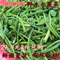 江西特产新鲜现摘蕨菜凉拌菜3斤5斤野菜水1龙爪菜 鲜嫩水蕨菜叶子