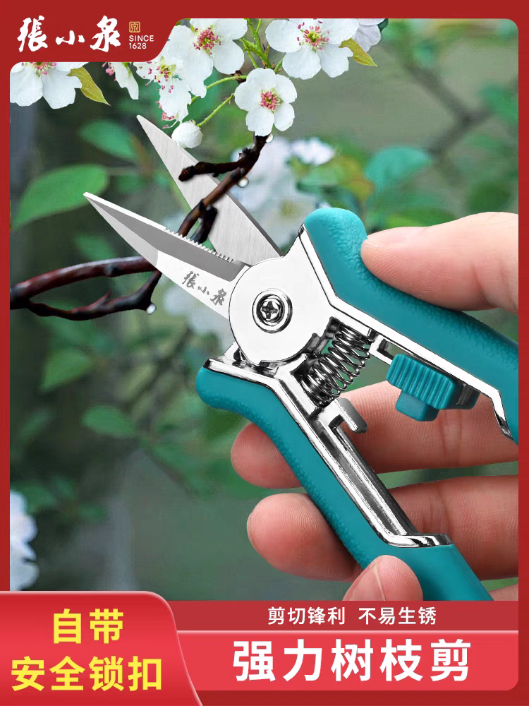 正品张小泉修枝剪园艺剪刀剪树枝果树园林工具修剪花卉花艺省力剪图片