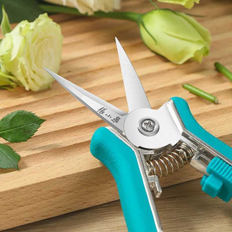 张小泉园艺修枝剪刀摘果剪刀果树花艺剪园林盆景整枝省力蔬果剪刀