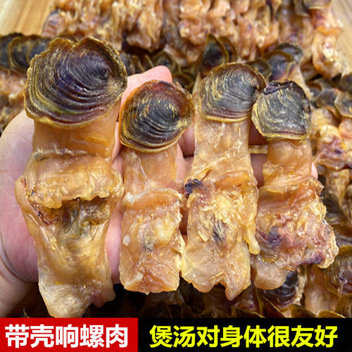 原只带壳响螺肉响螺头美螺海干货