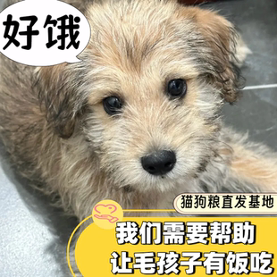 公益捐赠1分钱捐款0.01元1毛钱0.1一块钱小商品包邮秒杀一元1块钱