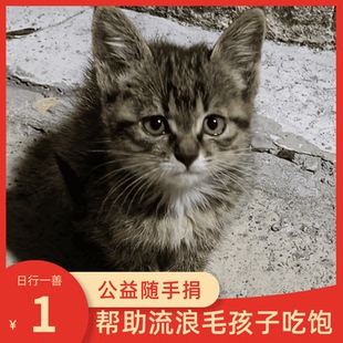 爱心捐赠 1分钱捐款0.01元1毛0.5元五毛钱一块钱商品包邮一元公益