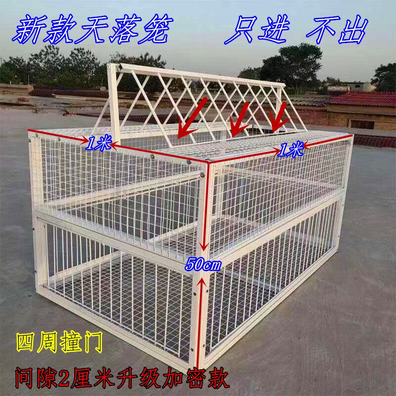 捕鸽神器天落笼只进不出收鸽笼自动跳门撞门笼抓鸽子用品用具包邮属于什么档次？