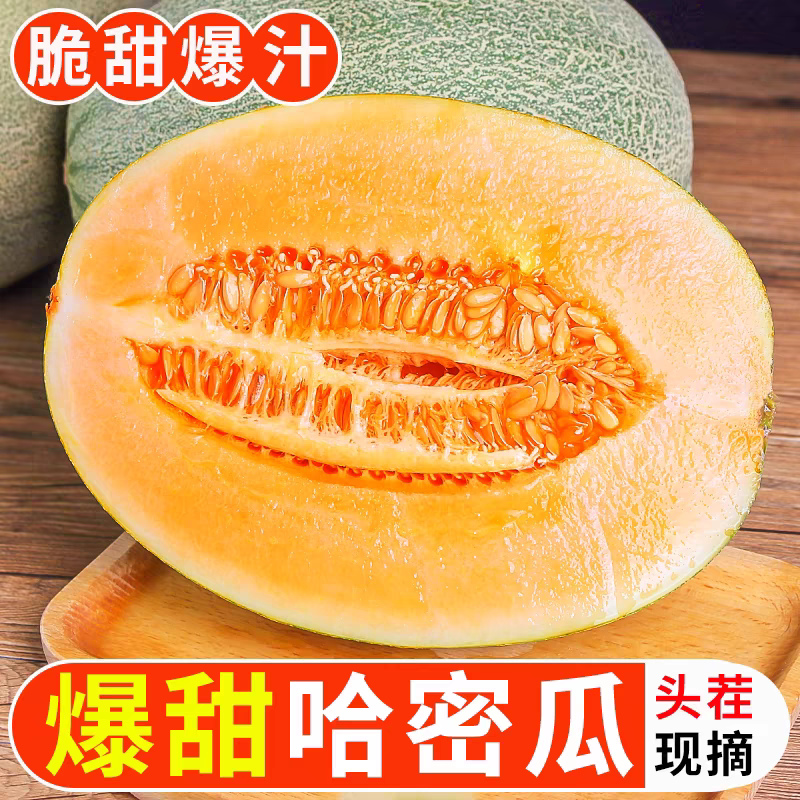 新开封蜜瓜头茬5斤大果水果新鲜当季整箱网纹瓜脆甜香小蜜25海南9