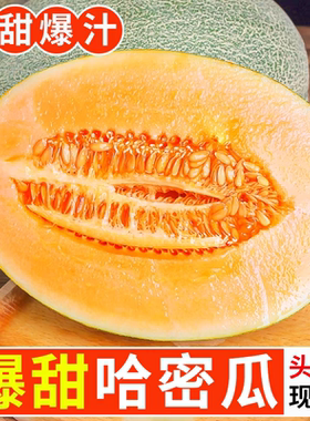 新开封蜜瓜头茬5斤大果水果新鲜当季整箱网纹瓜脆甜香小蜜25海南9