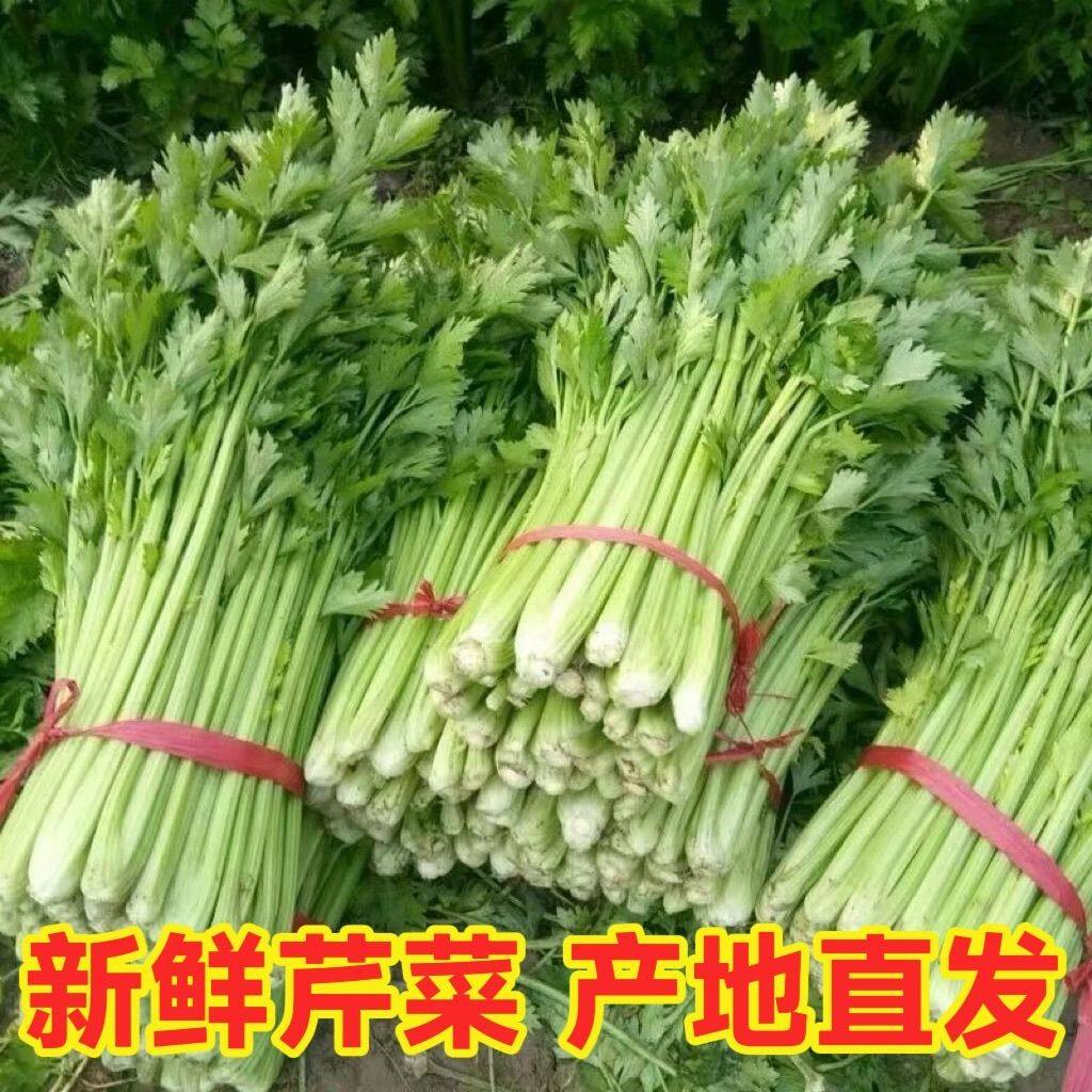 2026全叶芹菜西洋芹新鲜蔬菜5包邮河南脆嫩无丝农家种植现挖榨汁