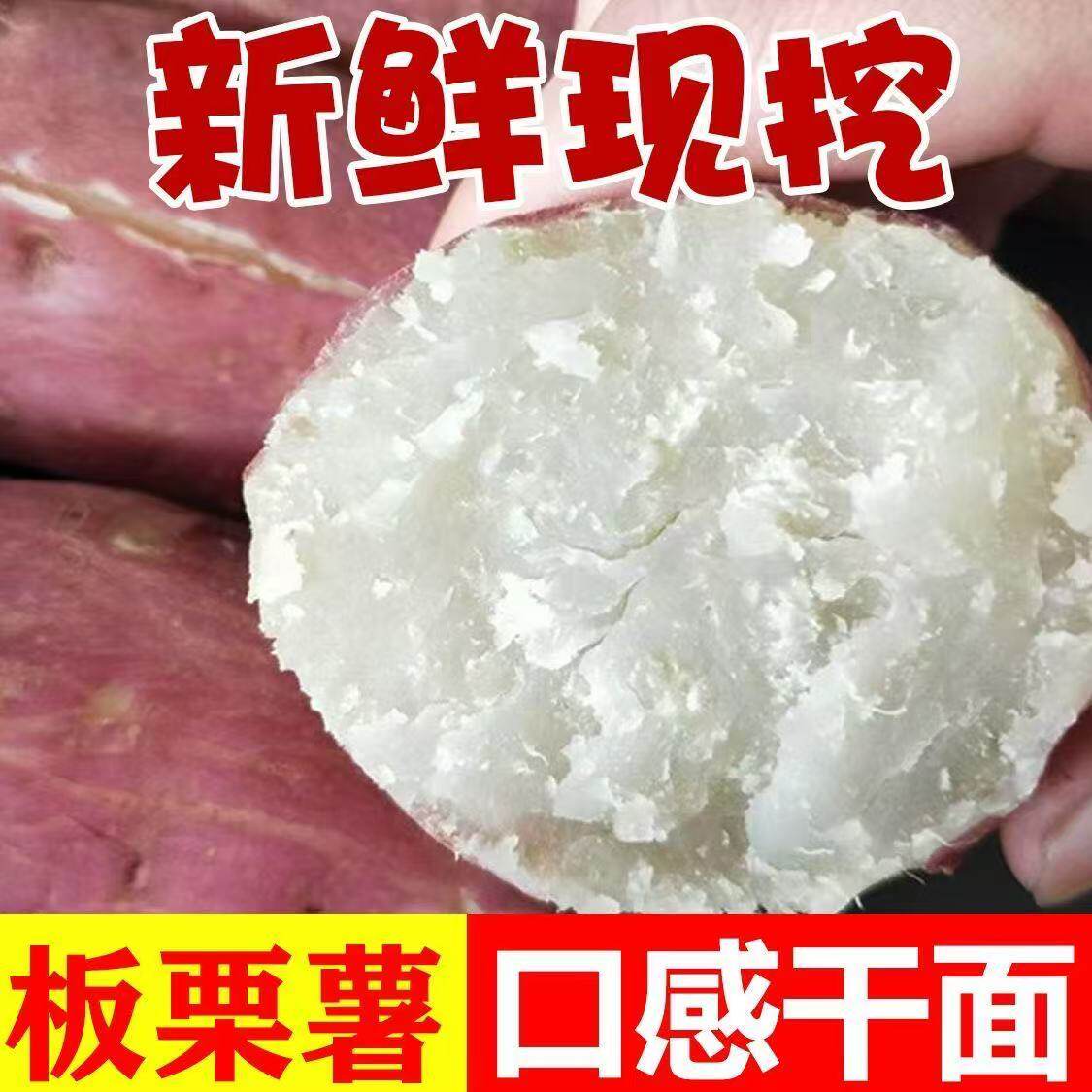 白心板栗味红薯新鲜现挖红皮粉糯番薯地瓜富硒干面正宗白心红薯