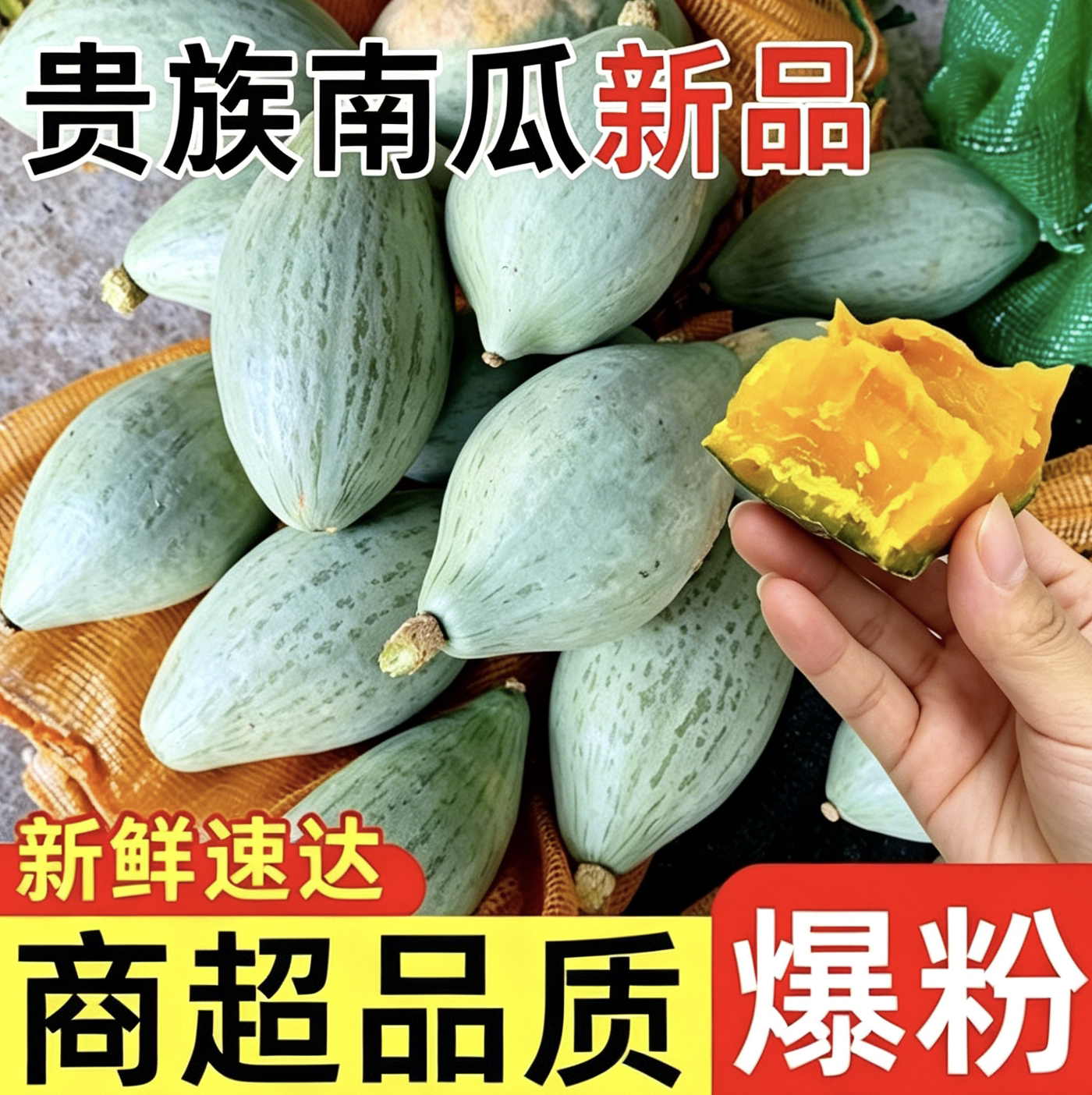 新疆贵族南瓜老南瓜贝贝又香又甜又面窝瓜板栗味食用低糖食品当季