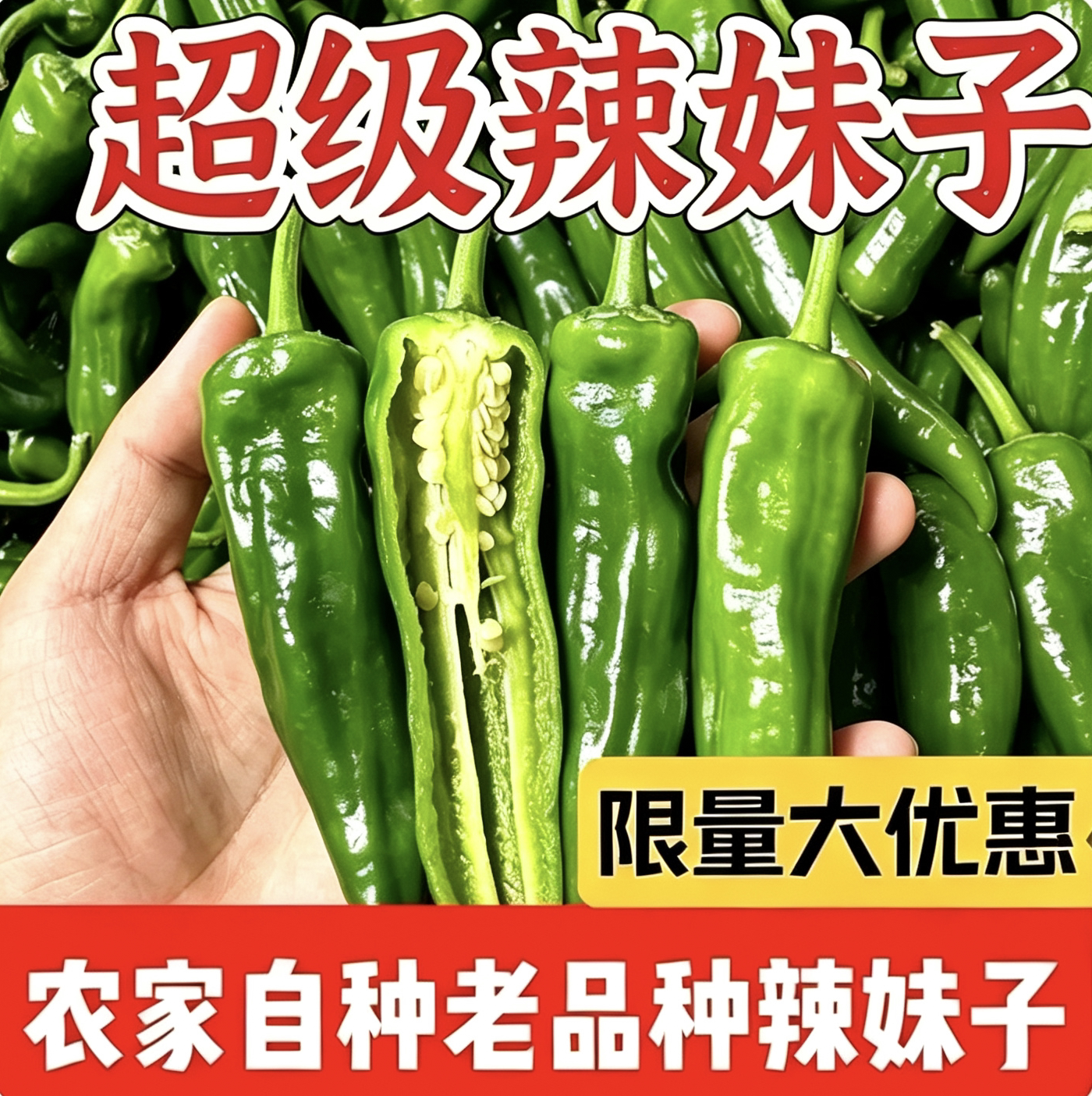 杭椒小辣椒现摘辣妹子辣椒青椒新鲜尖椒嘎嘎辣青菜朝天椒做辣椒酱