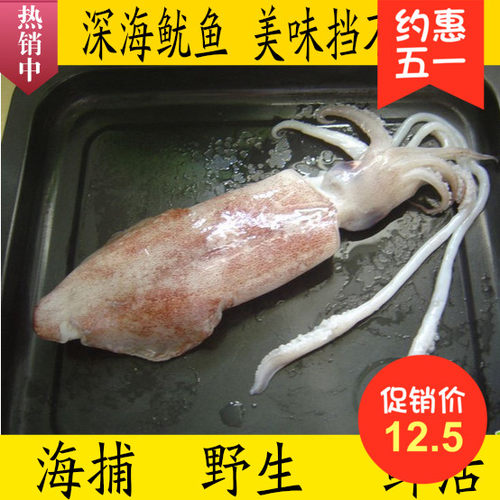 新鲜铁板鱿鱼鲜活平价海鲜大鱿鱼
