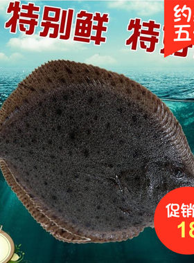 新鲜多宝鱼石斑鱼鲆鱼海鲜