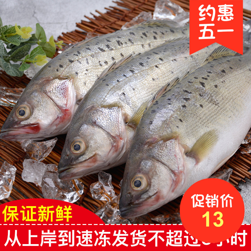 七星当天海捕250克一份鲈鱼