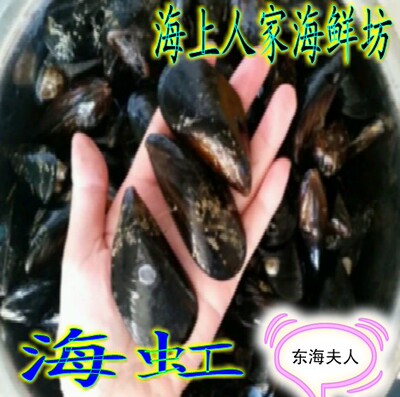 水产鲜活特大青口贝shihui