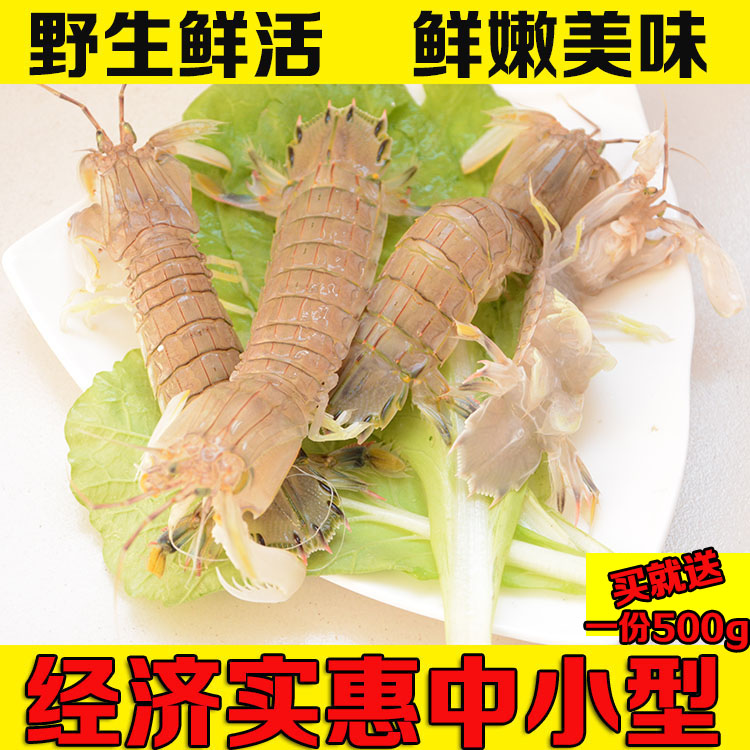 鲜活小号皮皮虾特价满包