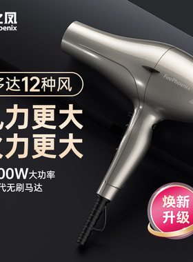 火之凤6600H+吹风机理发店专用发廊发型师无刷大功率速干风筒正品