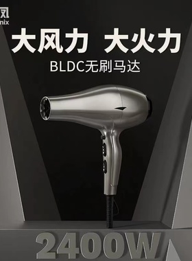 火之凤吹风机6600H大功率速干理发店发廊专用大风造型正品包邮