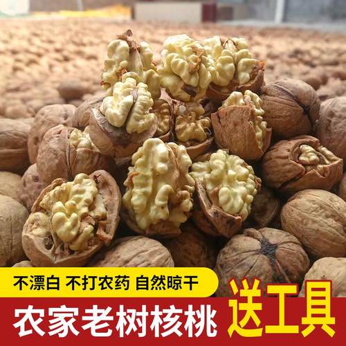 2025年老树核桃干核桃不漂白
