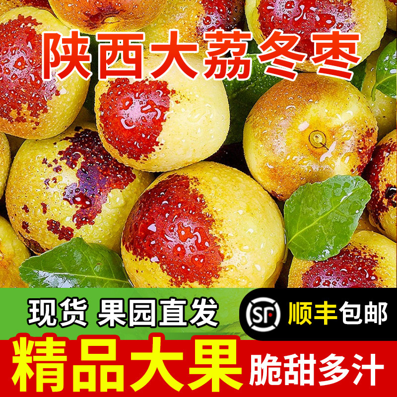 正宗陕西大荔冬枣新鲜大枣特大5枣