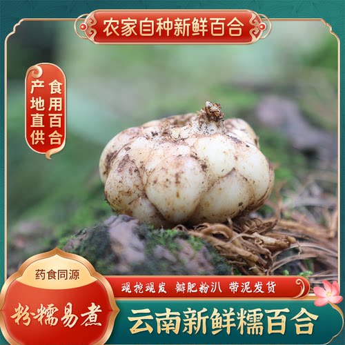 云南新鲜百合农家食用蔬菜百合