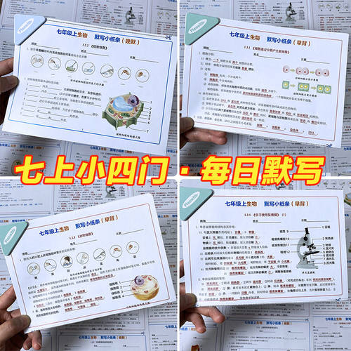 2025新版初一上册小四门背诵默写