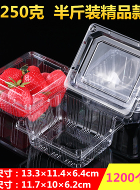 250克半斤装一次性水果包装盒草莓菠萝蜜番茄葡萄塑料打包盒 透气