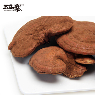 五马寨广东特产韶关灵芝整枝山区种植赤灵芝林芝干可切片150g