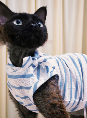 PetaPest.宠物夏季蕾丝条纹衬衫猫咪狗狗衣服超薄透气凉凉衣