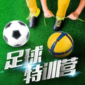 足球成人小学生儿童足球4号耐磨训练5号真皮脚感软皮PU比赛正品