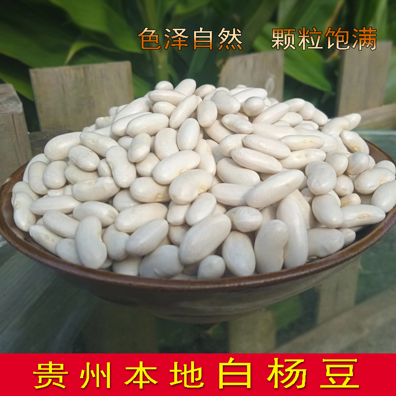 柏杨豆白芸豆干货新鲜豆五谷杂粮白扁豆云豆白腰子豆贵州特产白豆
