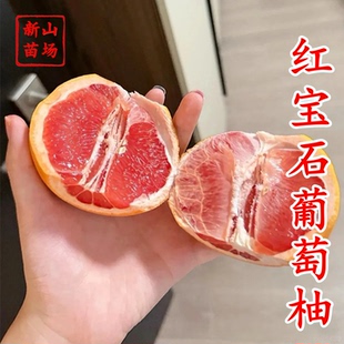 【红宝石葡萄柚苗】西柚红肉红心葡萄柚苗新品种柑桔柚子树苗