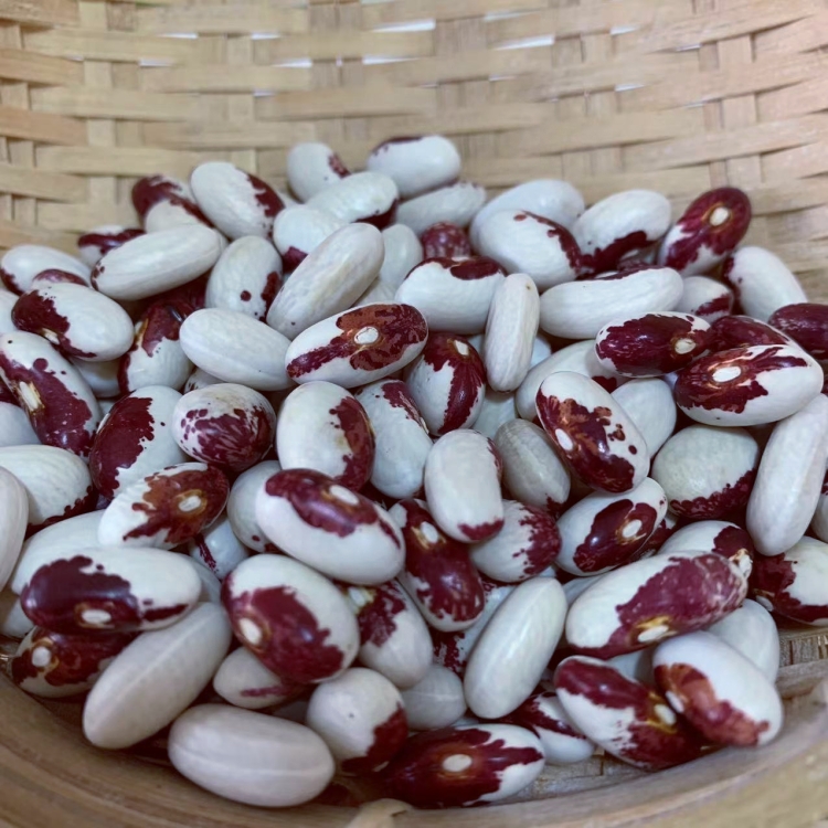 2025年新腰花饭豆黑龙江农家自产兔白芸豆 白花芸豆