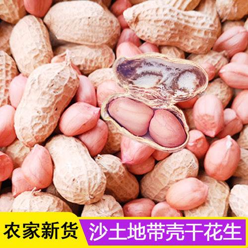 2025年新鲜带壳生花生原味干花生