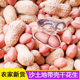 2025新鲜带壳生花生 新货5斤粉红皮农家自种新鲜干花生晒干种子米
