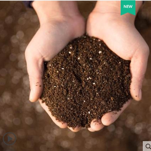 盆栽营养土仙人球专用土陶粒椰砖营养土多肉透气通用型种植土有机