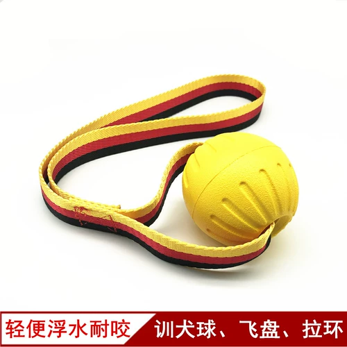 Эластичная игрушка для тренировок, фрисби, подходит для подростков, домашний питомец