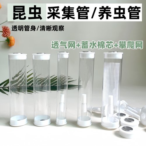 采集瓶养虫管竹蛉虫盒叫罐