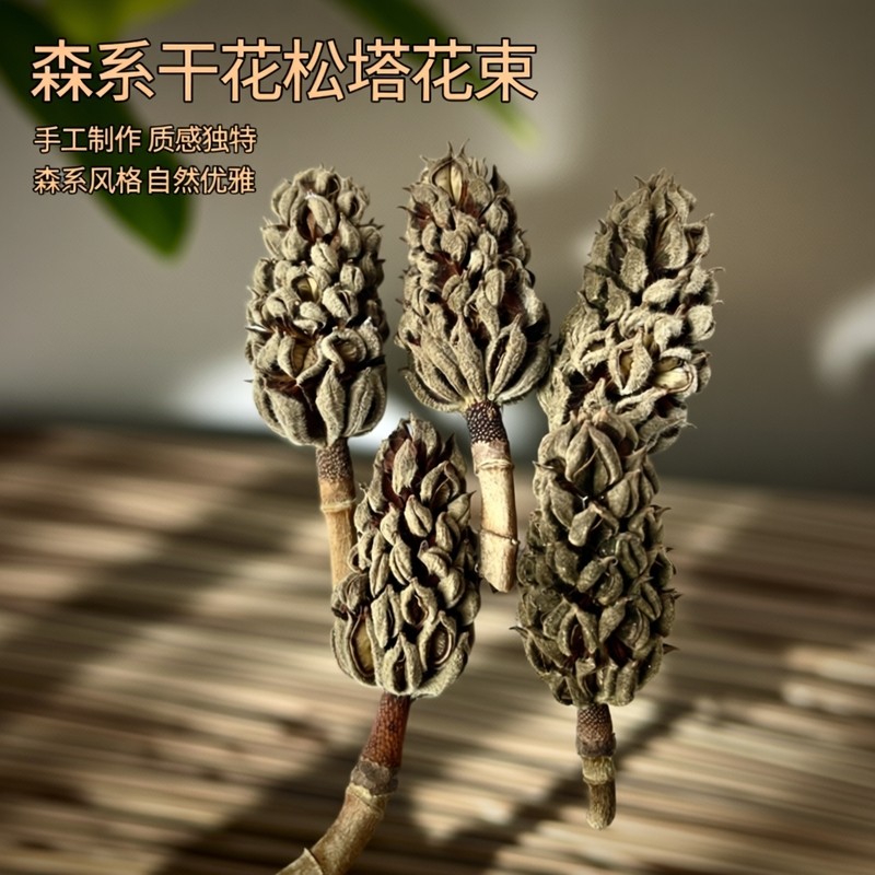 客厅干花松塔干花花束 森系DIY材料包 家居装饰摆件摄影道具标本,家居饰品,干花/花瓣/干花包/干树枝,淘宝优惠券,粉丝福利购,淘宝优惠卷