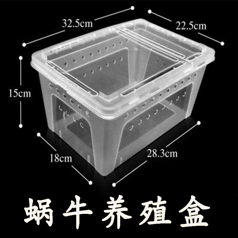 宠物盒子白玉蜗牛窝大小饲养箱子