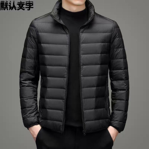 干活穿休闲轻薄棉衣男士青年外套棉服短款百搭大码男装棉袄立领男