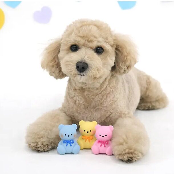 韩国PARISDOG小熊乳胶玩具小犬