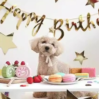 特价韩国PARISDOG饼干马卡龙玩具