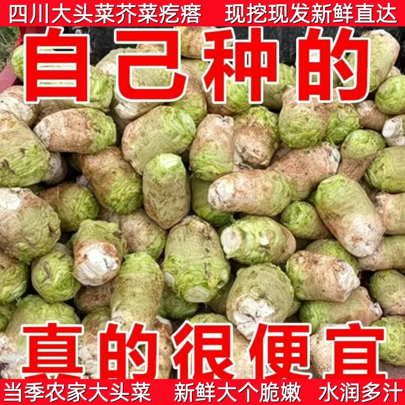 四川新鲜大头菜芥菜疙瘩当季时令蔬菜咸菜下饭菜芥菜丝酱菜腌酸菜,水产肉类/新鲜蔬果/熟食,其它,淘宝优惠券,粉丝福利购,淘宝优惠卷
