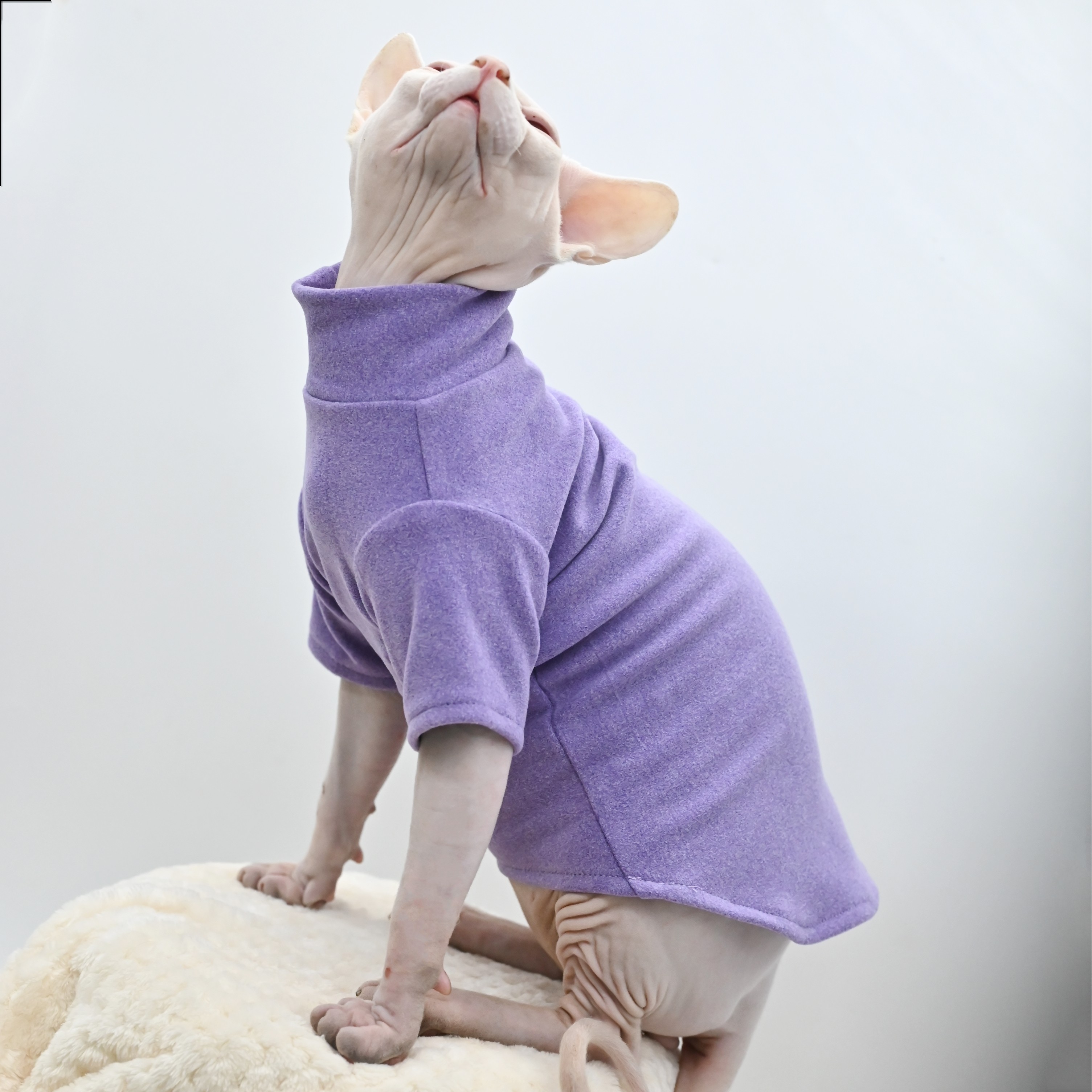 无毛猫衣服斯芬克斯德文柯尼斯卷毛德绒阳离子自发热冬季保暖打底