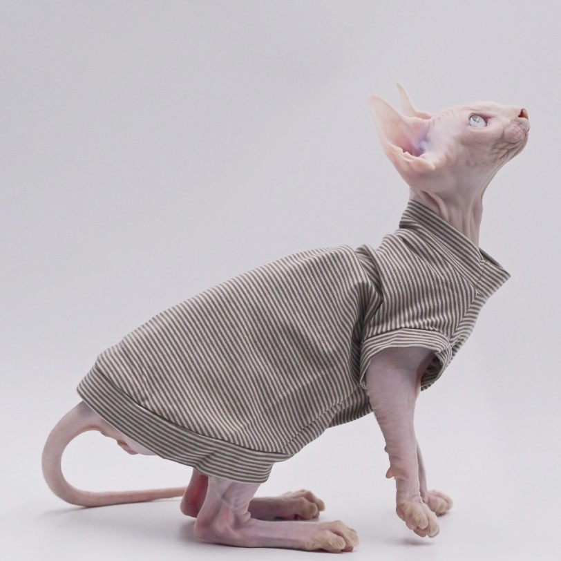 纯棉无毛猫衣服凉凉衣夏款适合德文，东短，阿比，斯芬克斯
