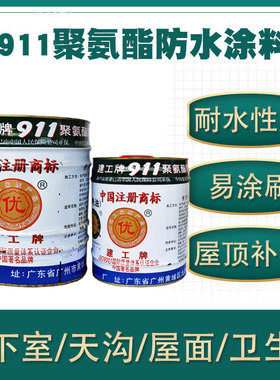 屋顶裂缝沥青柏油聚氨酯防水涂料