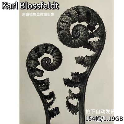 E355【德国】（Karl Blossfeldt）黑白植物显微摄影网传电子图库